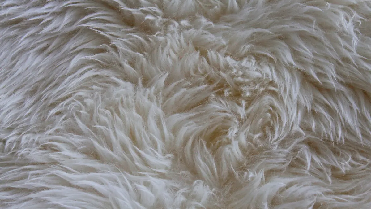 Lammfelle vom Chaoshof