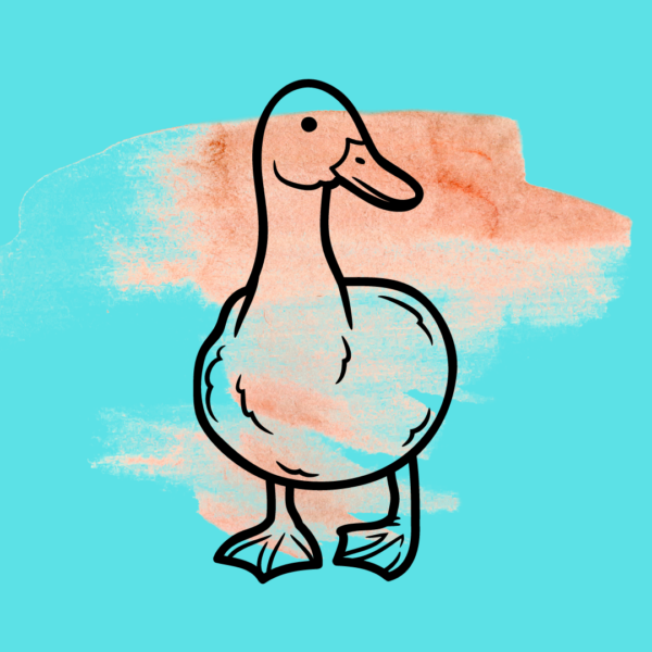 BIO-Ente - Zerlegt